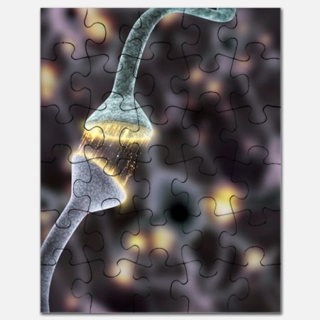 Puzzle neuron